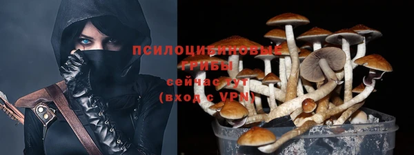 mix Алексеевка