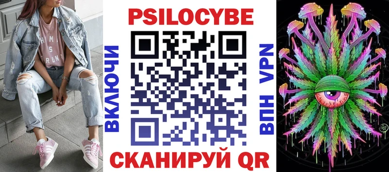 дарнет шоп  Лесной  Галлюциногенные грибы Psilocybine cubensis 