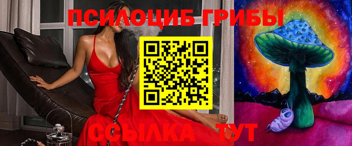 Псилоцибиновые грибы прущие грибы Лесной