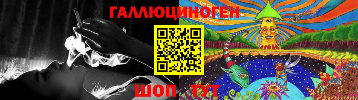 Лесной  Псилоцибиновые грибы Psilocybe  цены   Вход с VPN 